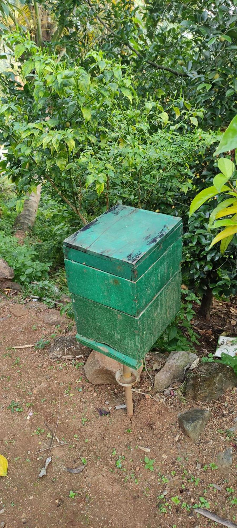 Koonamparayil Home Stay Munnar Anaviratty-Family Only 外观 照片