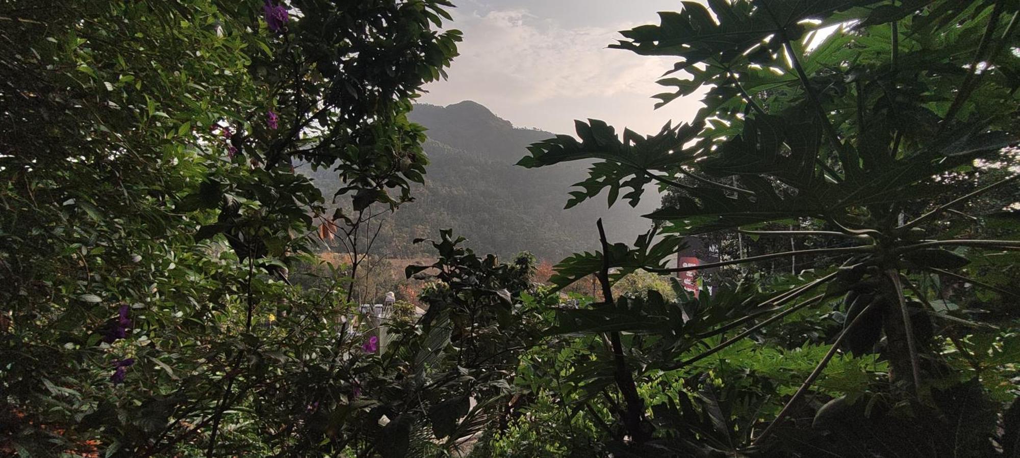 Koonamparayil Home Stay Munnar Anaviratty-Family Only 外观 照片