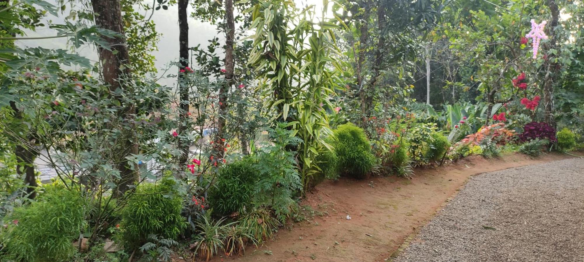 Koonamparayil Home Stay Munnar Anaviratty-Family Only 外观 照片