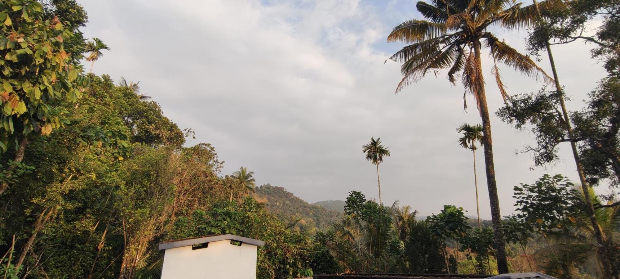 Koonamparayil Home Stay Munnar Anaviratty-Family Only 外观 照片