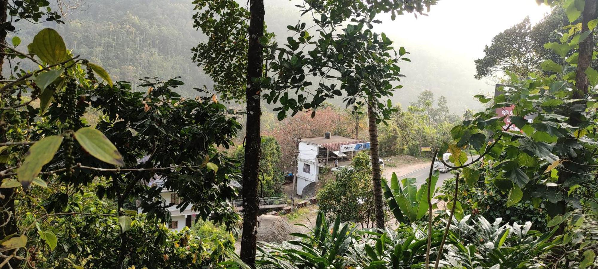 Koonamparayil Home Stay Munnar Anaviratty-Family Only 外观 照片
